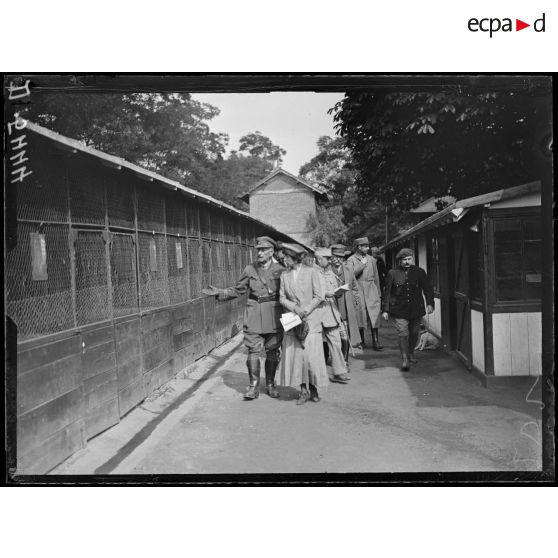 Courbevoie ( Seine). Visite de la Présidente de la Croix Bleue au chenil de guerre. A l'infirmerie du chenil. [légende d'origine]