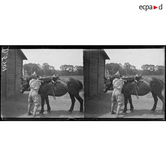 La Maison Blanche (Seine et Oise). Réeducation des mutilés pour l'agriculture. Mutilé attachant un cheval. [légende d'origine]