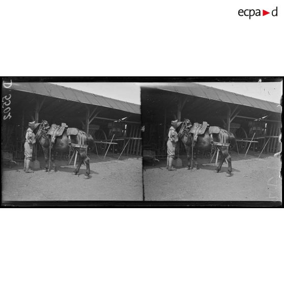 La Maison Blanche (Seine et Oise). Réeducation des mutilés pour l'agriculture. Mutilé attachant un cheval. [légende d'origine]