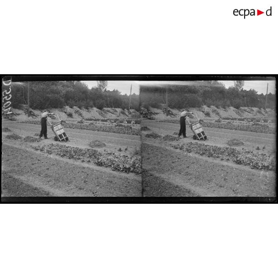 La Maison Blanche (Seine et Oise). Réeducation des mutilés pour l'agriculture. Mutilé vidant une brouette. [légende d'origine]