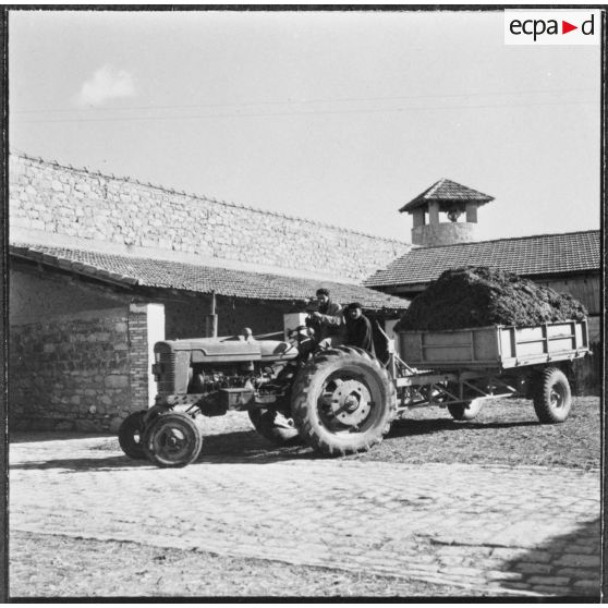 Ferme expérimentale du Kroub. Le tracteur va répandre le fumier dans les champs.