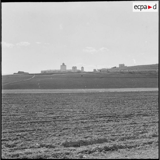 Ferme expérimentale du Kroub. Section exploitation.