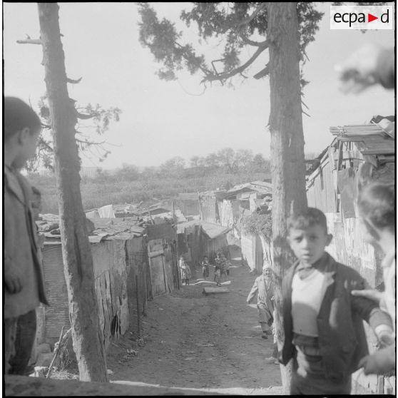 Maison Carrée. Scène de rue des alentours de la section administrative urbaine (SAU).