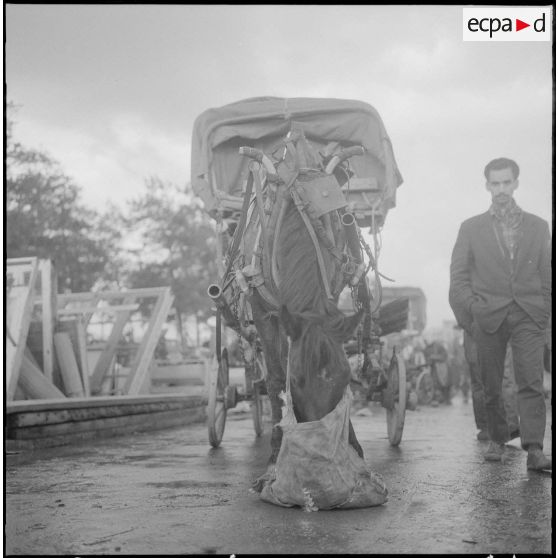 Marengo. Le marché en plein air.