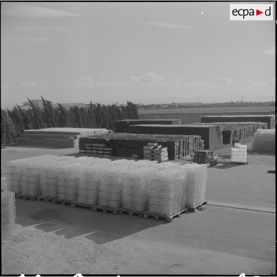 Oran. Les verreries d'Afrique du Nord. Tas de bouteilles prêts à l'expédition.