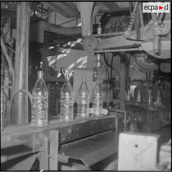 Oran. Les verreries d'Afrique du Nord. Différents stades de fabrication de la bouteille et vue générale des machines ultra-modernes.