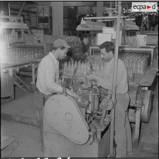 Oran. Les verreries d'Afrique du Nord. Les ouvriers travaillant les bouteilles.