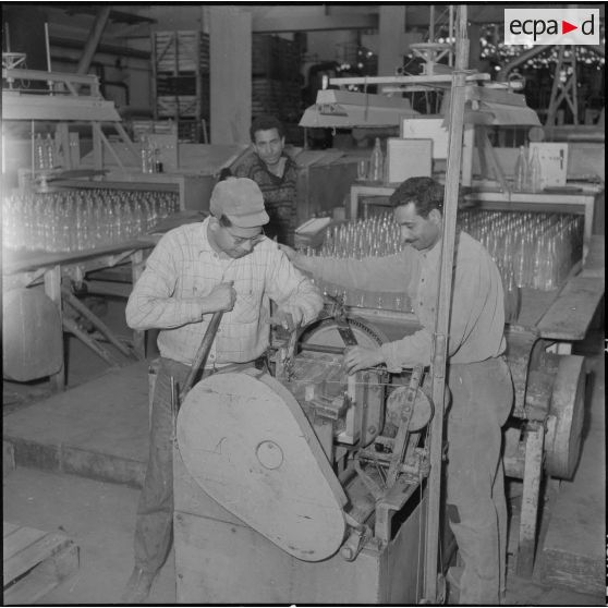 Oran. Les verreries d'Afrique du Nord. Les bouteilles sont mis en paquet.