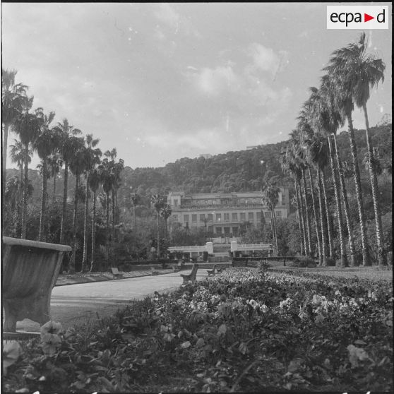 Hamma. Jardin d'Essai. Palmiers et promenade avec des bancs.