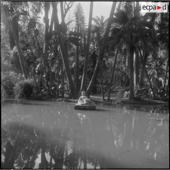 Hamma. Jardin d'Essai. Des arbres et un point d'eau.