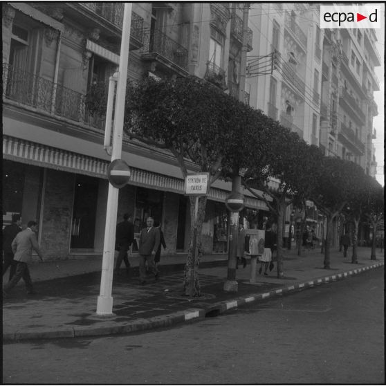 Alger. Grève générale. Scène de rue.
