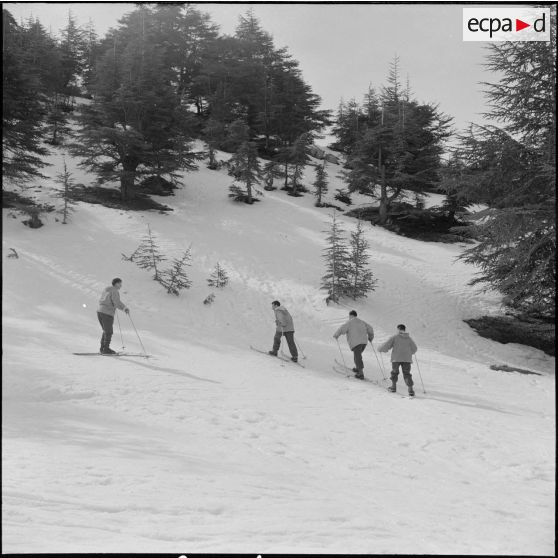 Tikdja. 22e bataillon de chasseurs alpins (BCA). Des chasseurs alpins skient dans la montagne.