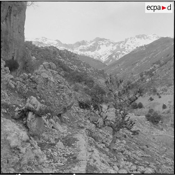 Tikdja. 22e bataillon de chasseurs alpins (BCA). Paysage de montagne.