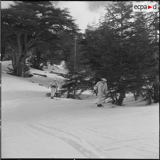 Tikdja. 22e bataillon de chasseurs alpins (BCA). Des chasseurs alpins skient dans la montagne.