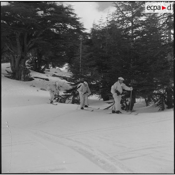 Tikdja. 22e bataillon de chasseurs alpins (BCA). Des chasseurs alpins skient dans la montagne.
