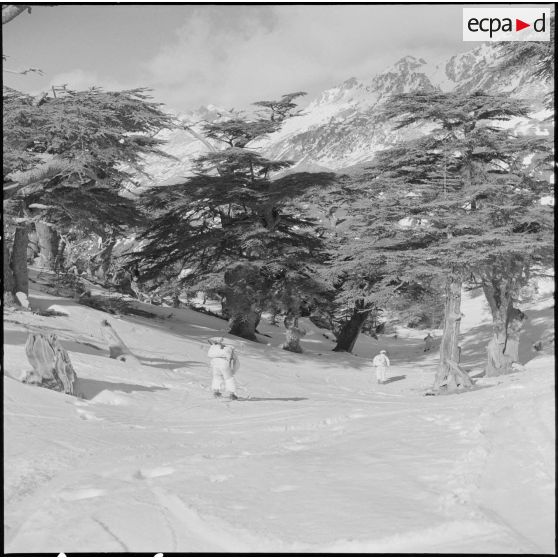 Tikdja. 22e bataillon de chasseurs alpins (BCA). Des chasseurs alpins skient dans la montagne.