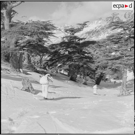 Tikdja. 22e bataillon de chasseurs alpins (BCA). Des chasseurs alpins skient dans la montagne.