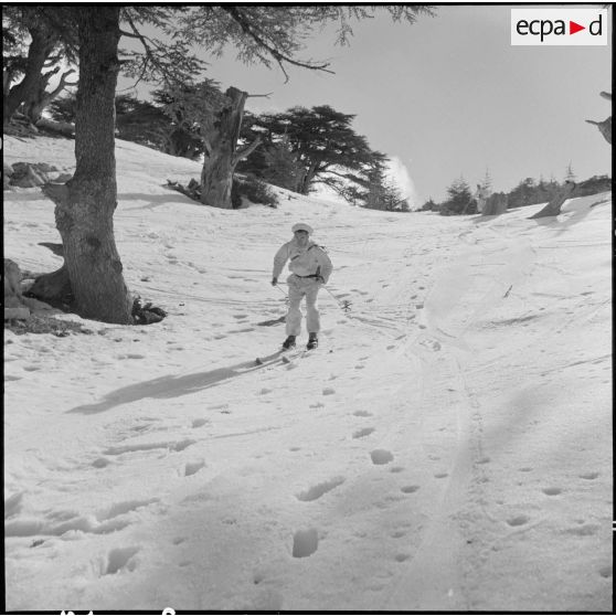 Tikdja. 22e bataillon de chasseurs alpins (BCA). Un chasseur alpin skie dans la montagne.