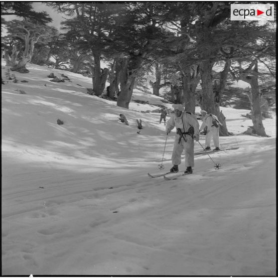 Tikdja. 22e bataillon de chasseurs alpins (BCA). Des chasseurs alpins skient dans la montagne.