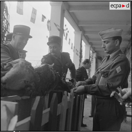 Algérie. Des militaires fêtent l'aïd el-séghir. Le méchoui.