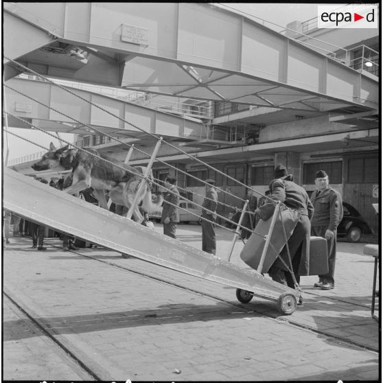 Alger. Départ des dernières troupes d'outre-mer stationnées en Algérie.