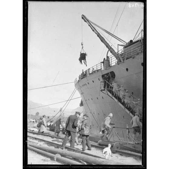 Toulon. Le 1er colonial embarque ses chevaux sur le "Lutétia". [légende d'origine]