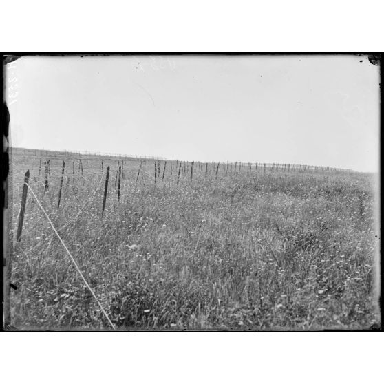 Dogandzy. Ouvrage France. Réseaux en avant de l'ouvrage. [légende d'origine]