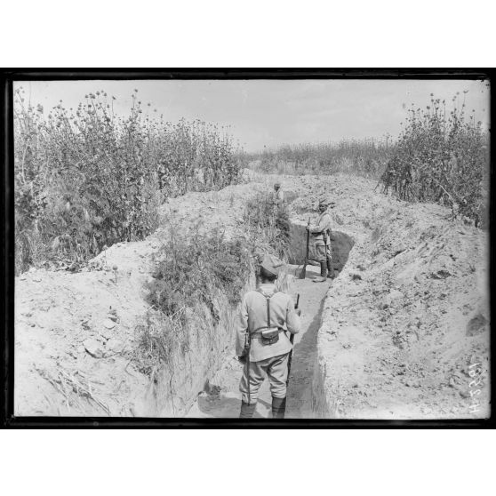 Bas Vardar. Secteur serbe. Boyau de l'ouvrage A4 en construction. [légende d'origine]