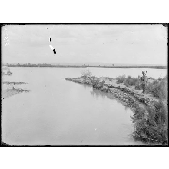 Secteur serbe sur le bas Vardar. Rive du fleuve. [légende d'origine]