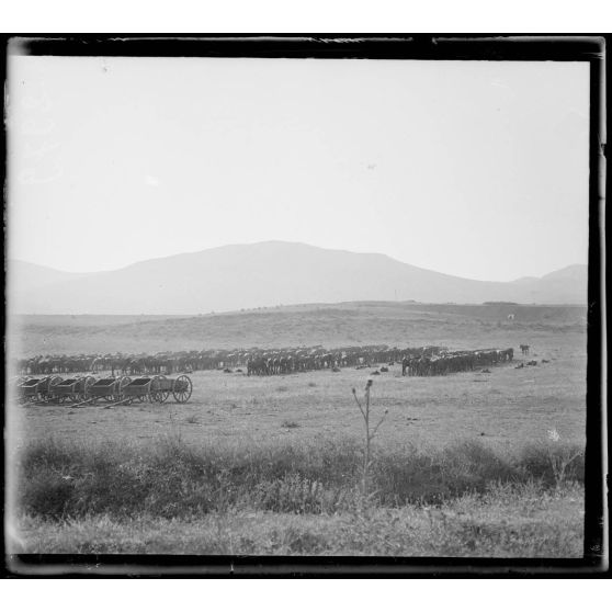 Près Narès. Voitures du train anglais. Parc des mulets. [légende d'origine]