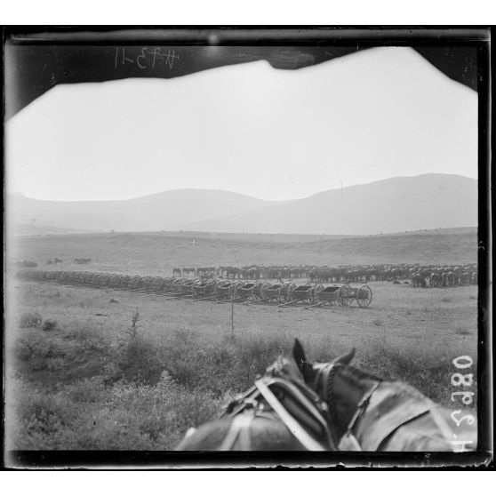 Près Narès. Voitures du train anglais. Parc des mulets. [légende d'origine]