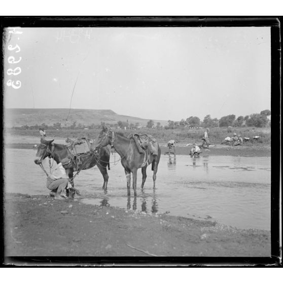 Près Narès. La baignade dans le Galiko. [légende d'origine]