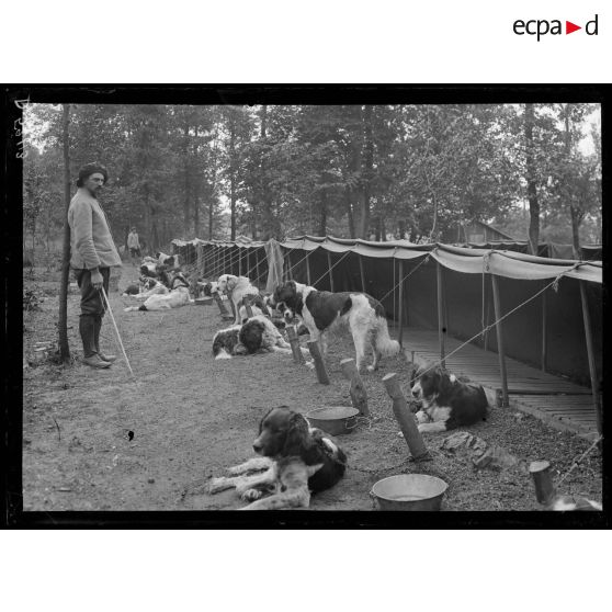 Camp de Satory, chenil militaire. Le campement des chiens. [légende d'origine]