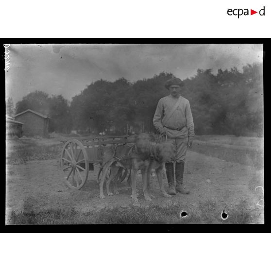 Camp de Satory, chenil militaire. Attelage double. [légende d'origine]