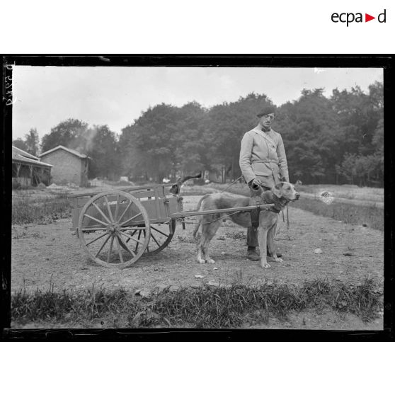 Camp de Satory, chenil militaire. Attelage simple. [légende d'origine]