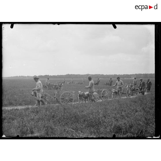 Camp de Satory, chenil militaire. Les attelages sur le terrain d'exercices. [légende d'origine]