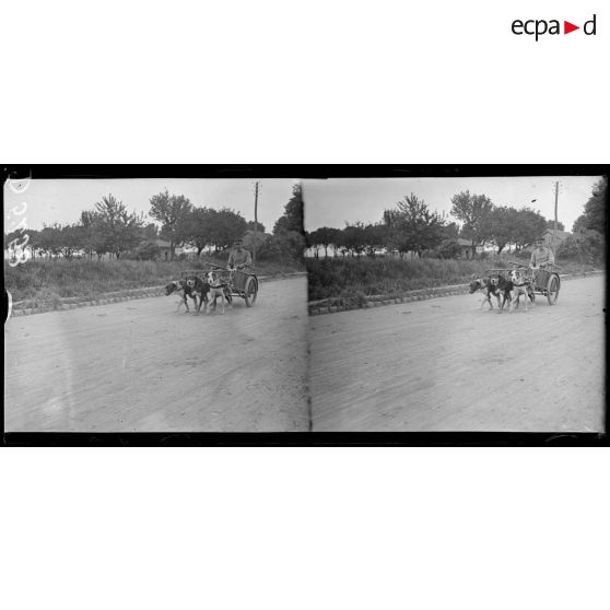 Camp de Satory, chenil militaire. Voiture de liaison attelée à trois. [légende d'origine]