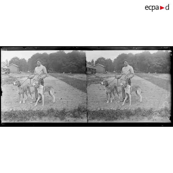 Camp de Satory, chenil militaire. Chiens de trait. [légende d'origine]