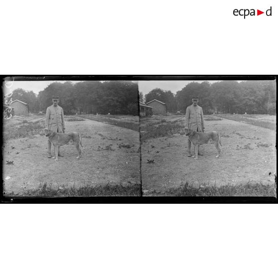 Camp de Satory, chenil militaire. Type de chien de trait. [légende d'origine]