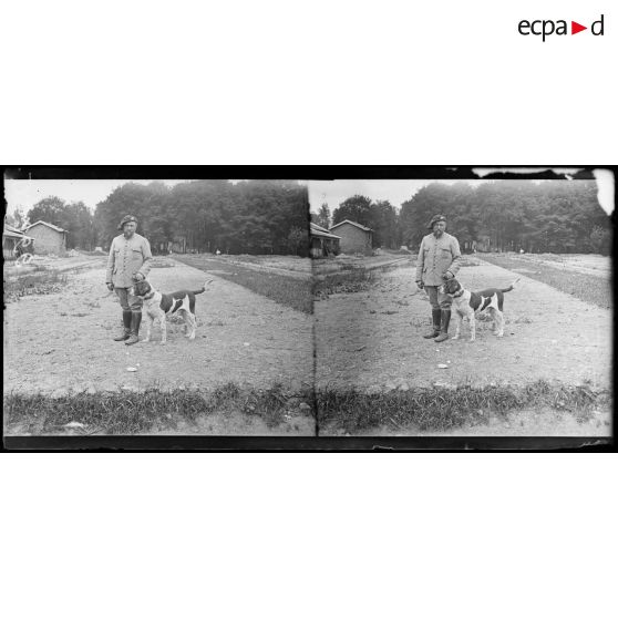 Camp de Satory, chenil militaire. Type de chien de trait. [légende d'origine]