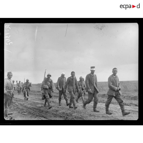 Près Lihons (Somme). Arrivée de prisonniers. [légende d'origine]