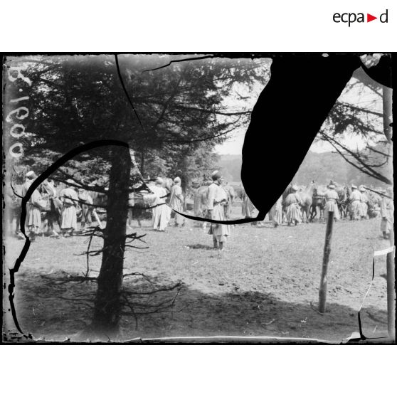 Coudun (Oise). Spahis. [légende d'origine]