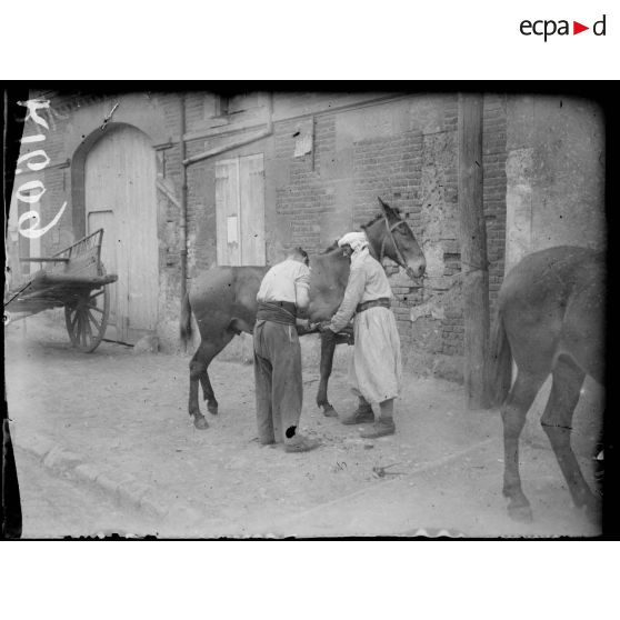 Coudun (Oise). Spahis. Ferrage d'un cheval. [légende d'origine]
