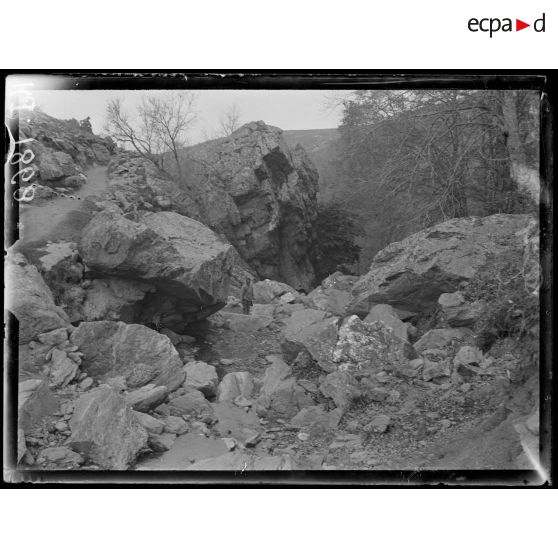 Région de Livadi. Entre Livadi et Pestera. Le lit d'un torrent. [légende d'origine]