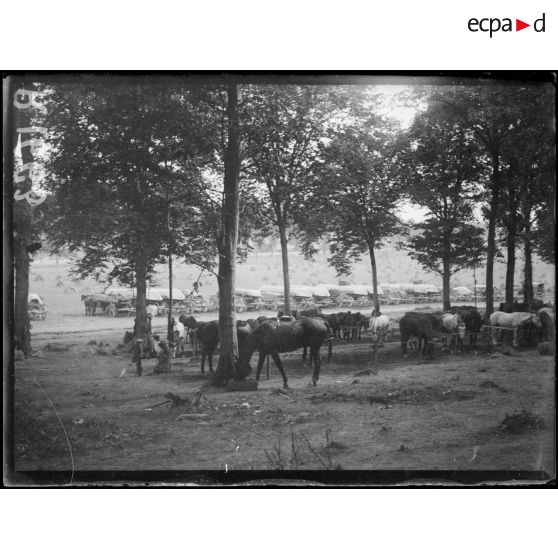 Près du Petit Blangy (Somme). Parc de pontonniers. [légende d'origine]