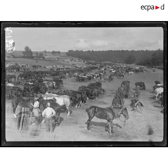Le Hamel (Somme). Camp d'artillerie. [légende d'origine]