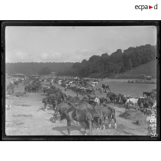Le Hamel (Somme). Camp d'artillerie. [légende d'origine]