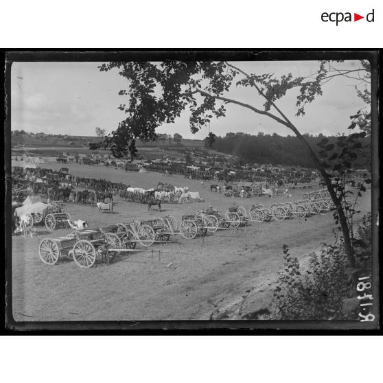 Le Hamel (Somme). Camp d'artillerie. [légende d'origine]