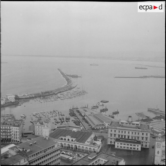 Alger. Vue aérienne le jour du "cessez-le-feu".