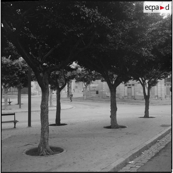 Oran. Grève générale à l'appel de l'Organisation armée secrète (OAS). Une patrouille dans une rue.